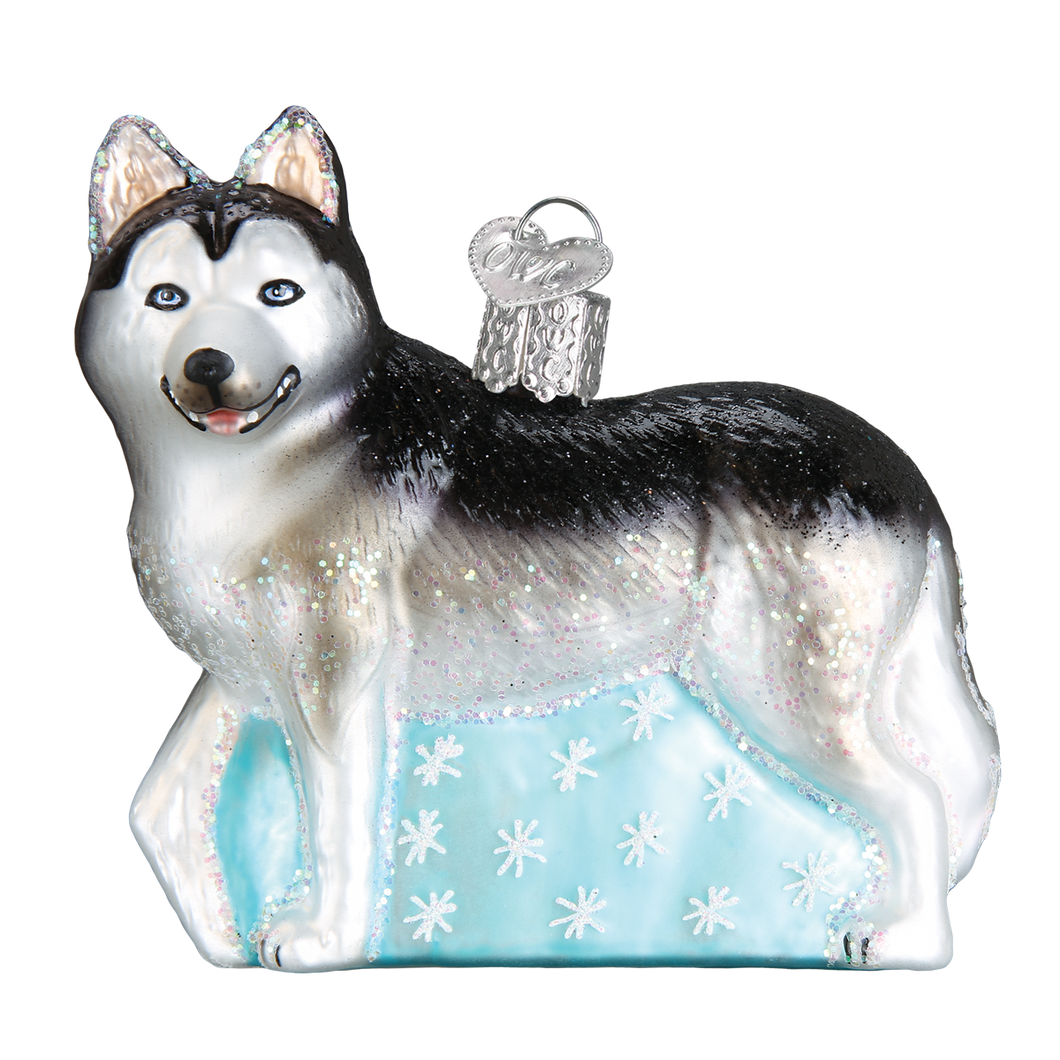 Old World Siberian Husky Christmas Ornament