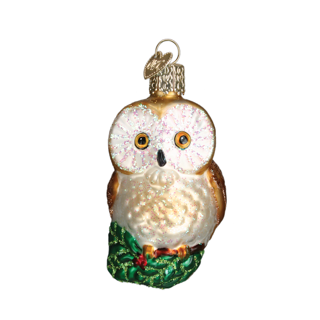 Old World Glass Christmas Owl Christmas Ornament