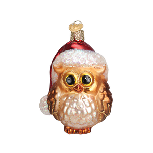 Old World Glass Santa Owl Christmas Ornament