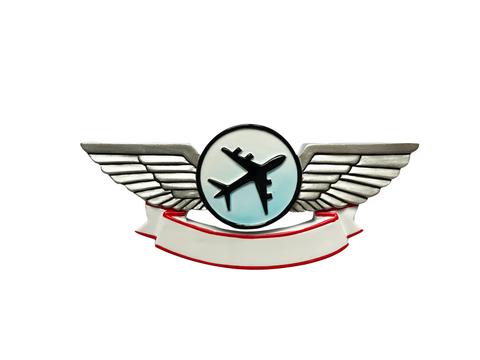 Airplane/Pilot Wings